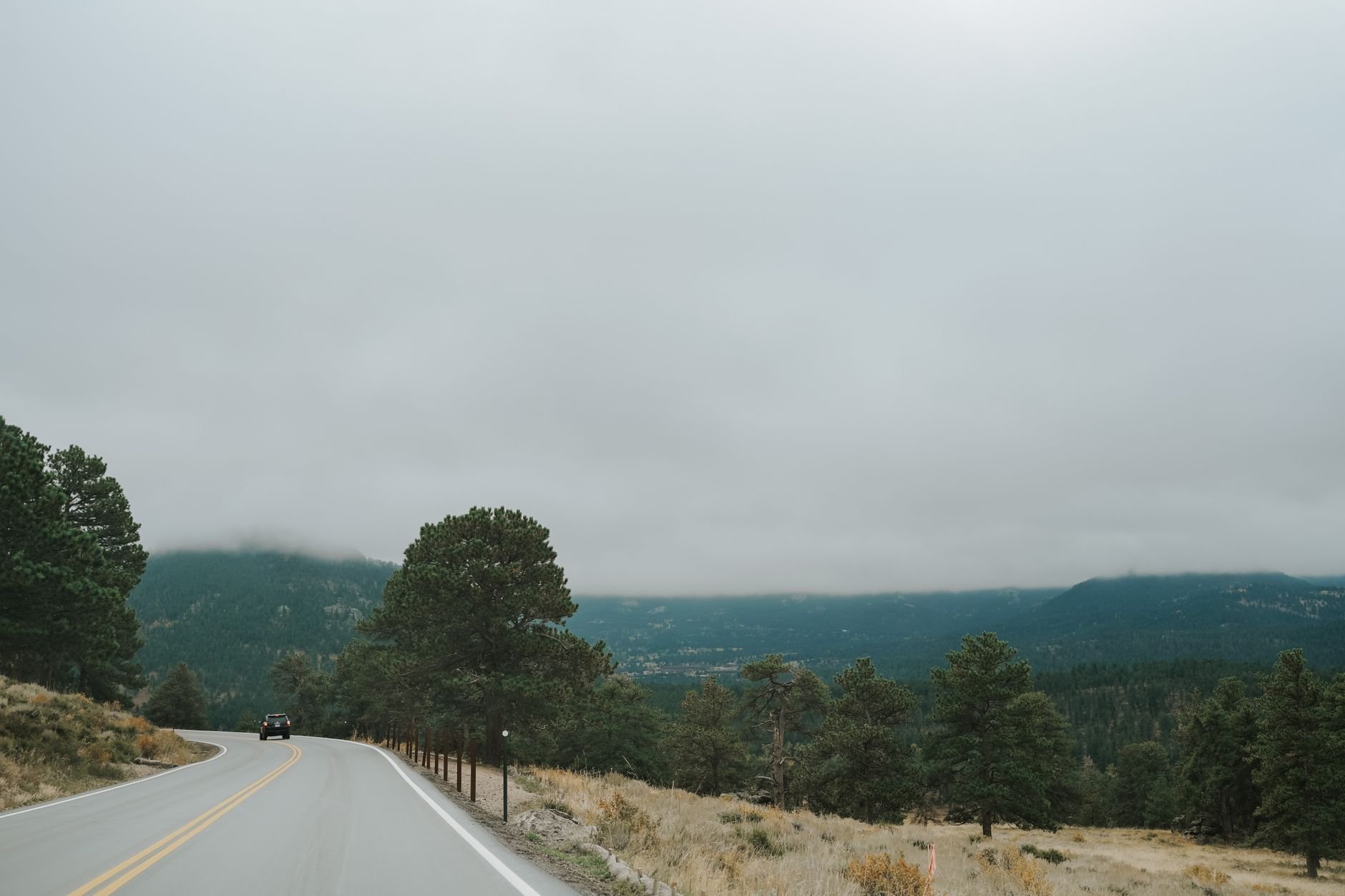 A serene road winding through a foggy forested landscape — the kind of road CoachWorkx helps you get back to.